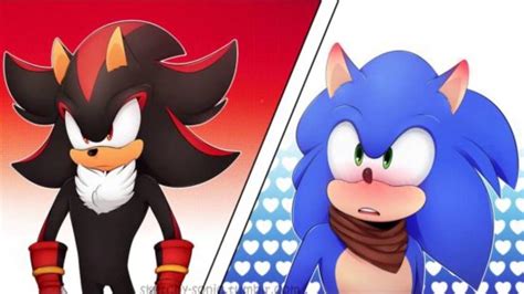 Sonadow +18  Project: Hedgehog Both Shadow and Sonic were "born" on the Space Colony ARK